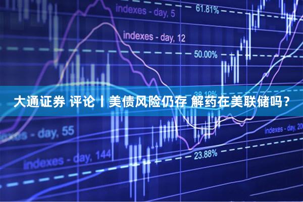 大通证券 评论丨美债风险仍存 解药在美联储吗？
