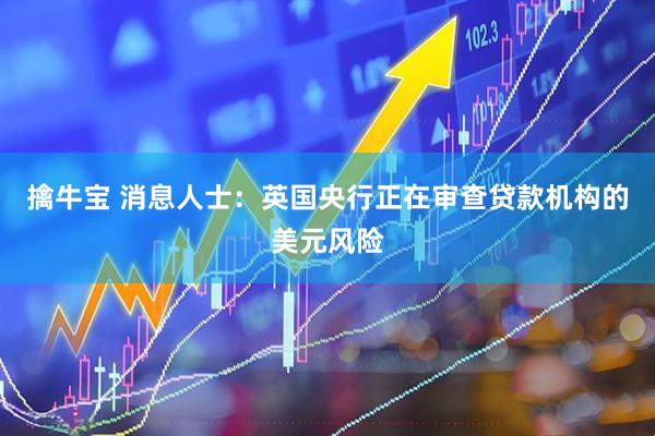 擒牛宝 消息人士：英国央行正在审查贷款机构的美元风险