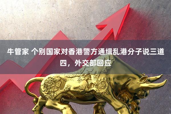 牛管家 个别国家对香港警方通缉乱港分子说三道四，外交部回应