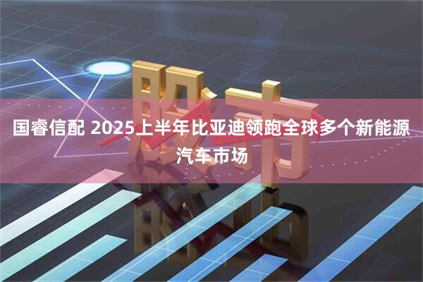 国睿信配 2025上半年比亚迪领跑全球多个新能源汽车市场