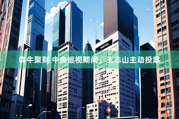 犇牛聚财 中央巡视期间，王志山主动投案