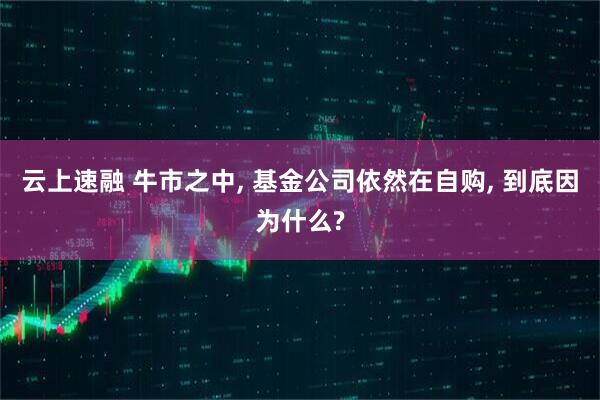 云上速融 牛市之中, 基金公司依然在自购, 到底因为什么?