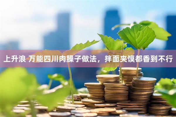 上升浪 万能四川肉臊子做法，拌面夹馍都香到不行