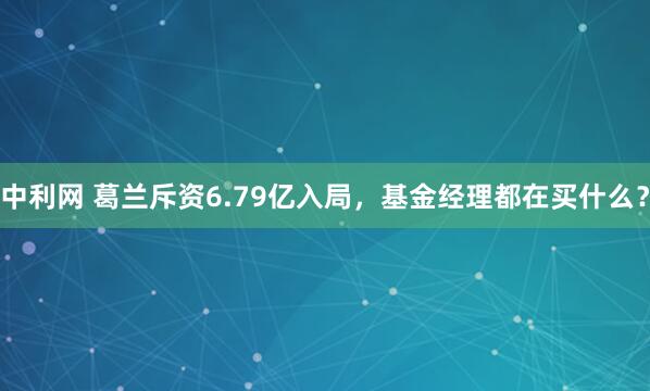 中利网 葛兰斥资6.79亿入局，基金经理都在买什么？