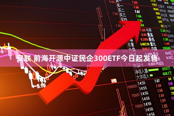 安联 前海开源中证民企300ETF今日起发售
