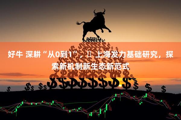 好牛 深耕“从0到1”，​上海发力基础研究，探索新机制新生态新范式